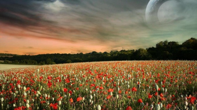 男朋友说我穿衣服太开放,难道好身材不应该显示出来吗?